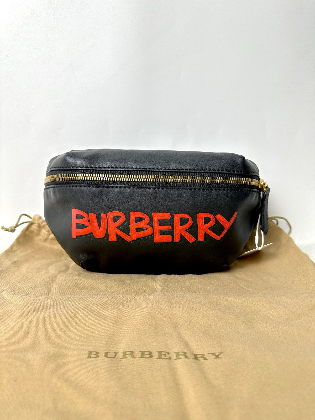 Payment 2:1 burberry bag