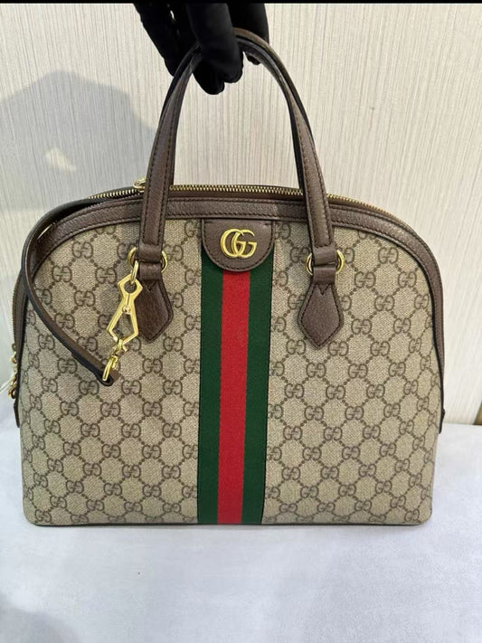 payment1:Gucci alma