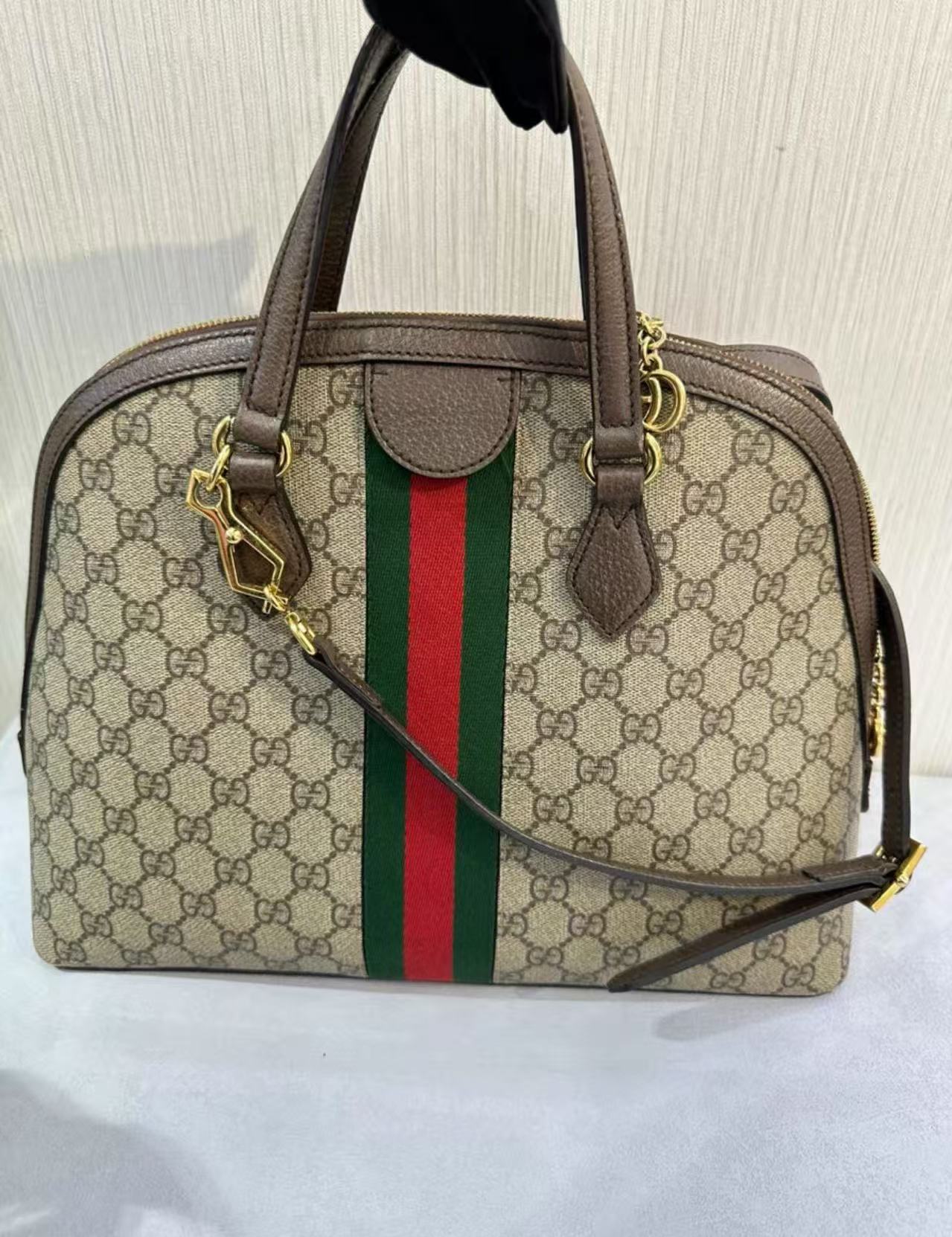 payment1:Gucci alma