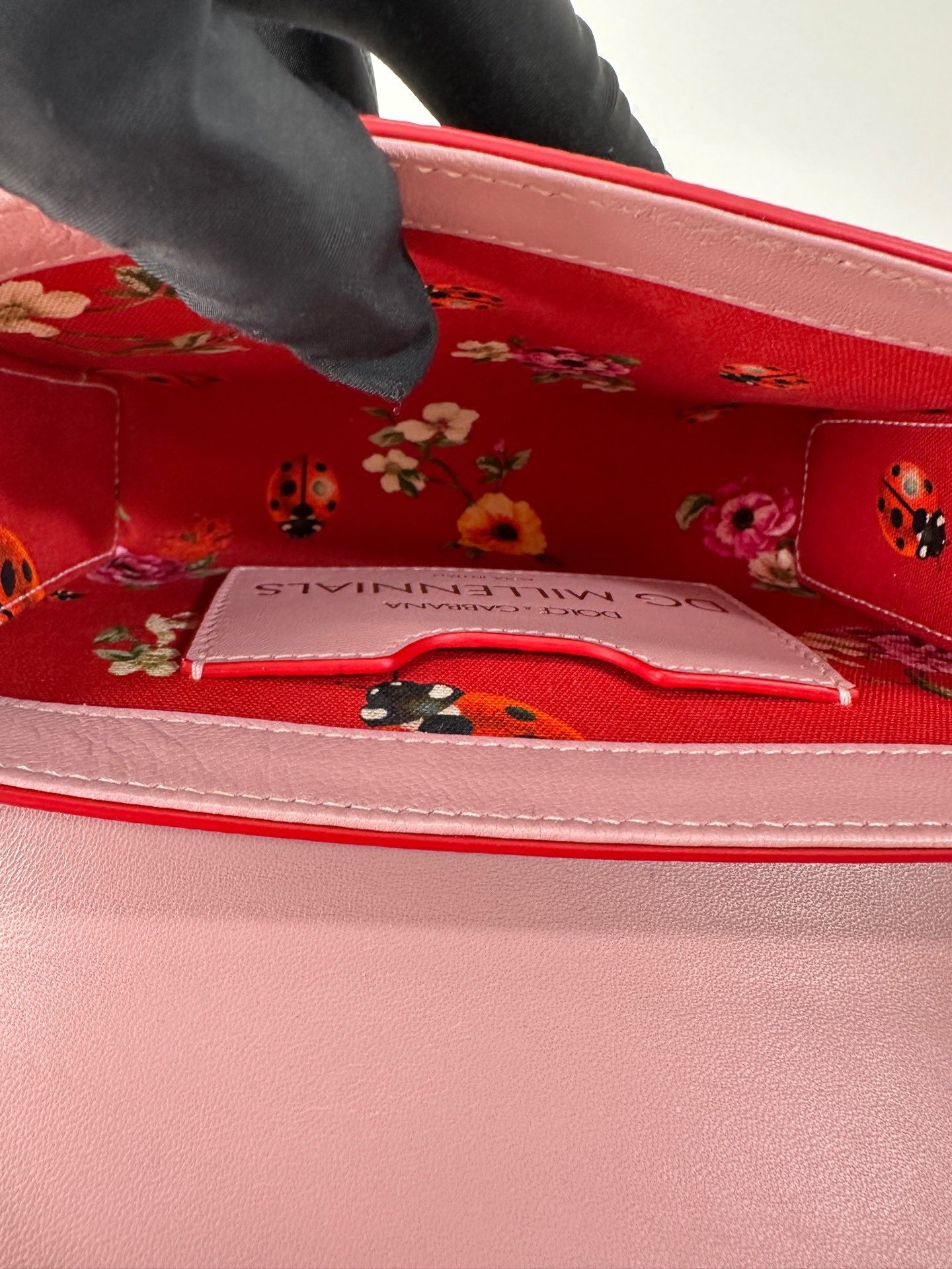 D&G crossbody bag